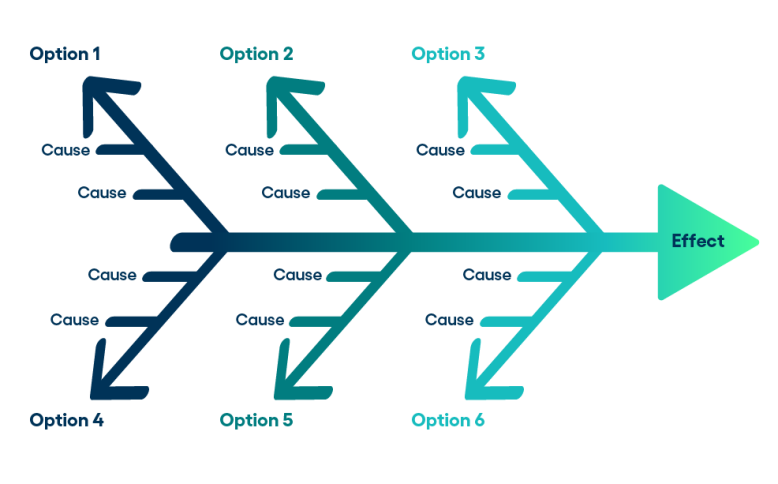 Fish bone diagram