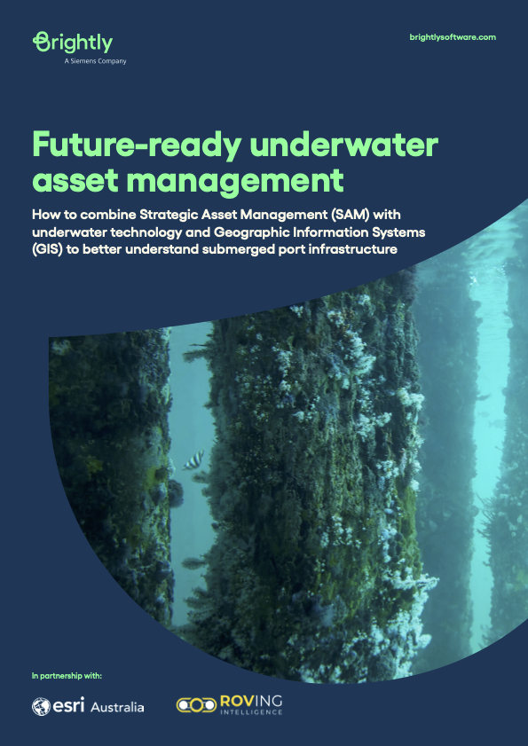 Future-ready underwater asset management