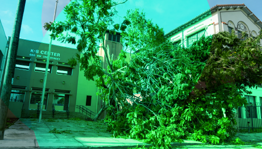 Teaser - School Facilities Hurricane Season Preparedness