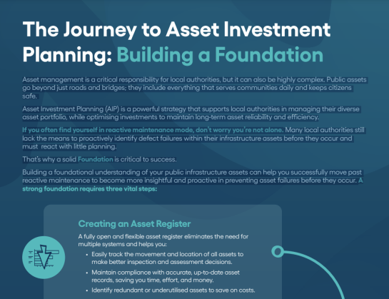 Asset Investment Planning infographic